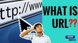 What Is URL in Hindi ? How  It Works?? How URL HELPS?? by Review Sheview