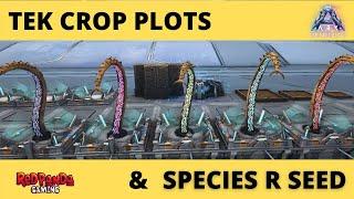 Tek Crop Plot | Species R Seed | Genesis Part 2 | Ark Survival Evolved