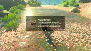 Where to get the Ancient Bridle and Saddle, BOTW