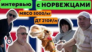 Сколько стоит жить в Норвегии? ДТ,ЕДА,ЗАРПЛАТА,ИПОТЕКА | Россия vs Норвегия |Сравнение уровня жизни