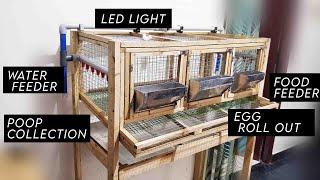 Ridiculously efficient quail cage that addresses all your woes!