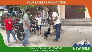 08th Oct 2022 Feed the Stray Animals – An initiative by the Yourbackers New Delhi