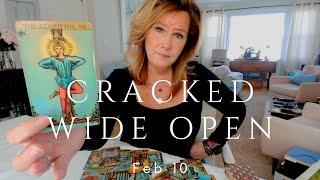 Your Daily Tarot Reading : Cracked Wide Open | Spiritual Path Guidance