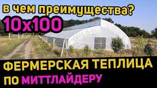 Фермерская теплица по миттлайдеру 10х100 // В чем преимущества?