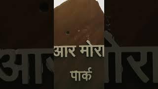 Nawalgarh#nawalgarh #viral #video #indian