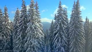 Relaxation Film - Breathtaking Landscapes Of Ukraine | 4K Nature Video | Relaxing Music | Our Planet