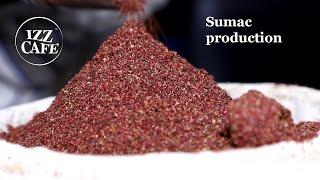 Sumac, from harvest to the plate