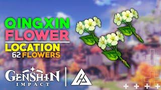 62 QINGXIN FLOWERS - ROUTE GUIDE | GENSHIN IMPACT | CG GAMES