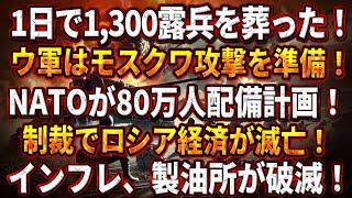 【ウクライナ戦況】1日で1,300露兵を葬った！ウクライナはモスクワ攻撃を準備！NATOが80万人配備計画！制裁でロシア経済が滅亡！インフレ、製油所が破滅！