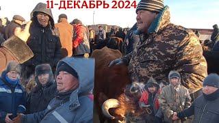 11-ДЕКАБРЬ/2024/КАРАОЗЕК МАЛ БАЗАРЫ/БУГИН КАЛАЙ БОЛДЫ?/БАЗАР АРЗАНБА?/ДЕМ БЕРМЕС МАЛ БАЗАР