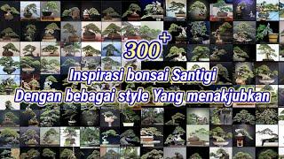 INSPIRASI BONSAI SANTIGI TERBAIK