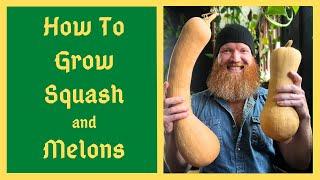 All About Growing Squash And Melons - Ultimate Carefree Setup - Custom Tailor To Your Environment