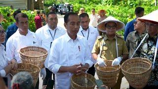 Presiden Jokowi Usai Meninjau Panen Kopi di Lampung Barat