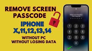 Remove screen passcode iPhone X,11,12,13,14 Series Without Computer And Losing Any data 