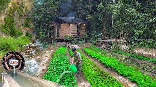 2 Year Living off grid in forest, doing electricity, Make toilet, gardening, harvest to market sell