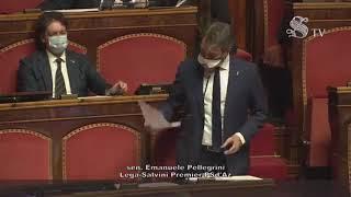 EMANUELE PELLEGRINI - DECRETO CLANDESTINI (18.12.2020)