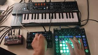 MiniFreak and MiniProphet ruled by Novation Circuit OG