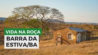 CHAPADA DIAMANTINA: Vida na roça em Barra da Estiva, Bahia!