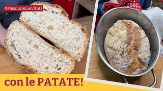 Pane Senza Impasto e Senza Glutine, PERFETTO! Indistinguibile da quello Normale | VivoGlutenFree