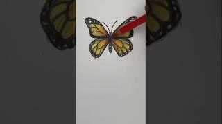 Draw a butterfly  Easy drawing lesson for beginners on how to draw a butterfly. #drawinglesson