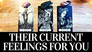 PICK A CARD Their CURRENT FEELINGS For YOU!  They want you to know THIS!  Love Tarot Reading