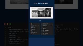 Hover gallery using CSS #css #webdesign