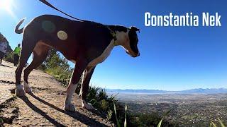 Constantia Nek - Easy trail for the family