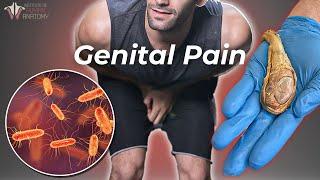 The Worst Genital Pain a Man Can Experience