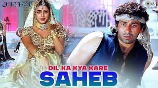 Dil Ka Kya Kare Saheb | Jeet | Sunny Deol, Tabu | Kavita Krishnamurthy | 90's Hits