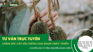 Chăm sóc cây sầu riêng giai đoạn phát triển| Trợ lý nông nghiệp 2 Nông