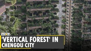 Chengdu city in China experiments greenhouse projects | Latest international news | WION