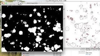 ImageJ for particles quantification