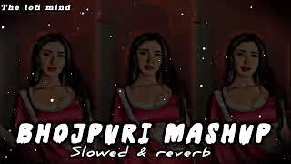 Bhojpuri mashup  lofi songs / Trending mashup bhojpuri songs / Slowed reverb lofi songs /