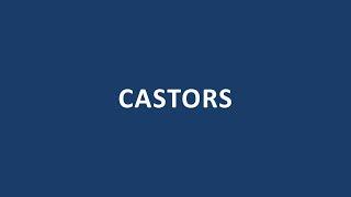 Castors