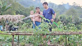 The peaceful and happy life in the countryside of the Nam police couple