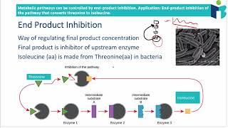 End Product Inhibition  (8.1.3 IB Biology HL)