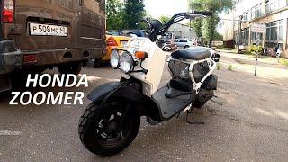 Покупаем Honda Zoomer из Японии!