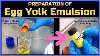 Egg Yolk Emulsion Preparation | Supplement for Microbiological Culture Media | BAM Media M51