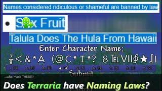 Does Terraria have naming laws to prevent WHAT name???