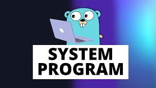 Why is Golang a systems programming language?