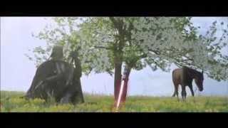 Darth Vader is a Ukrainian Cossack: Star Wars themed Ukraine election ads