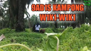 Gadis kampung lagi wiki wiki