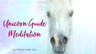 Unicorn Guide Meditation | Meet Your Unicorn w/ Tricia Carr, CHt