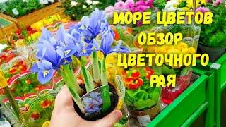 Цветочный рай  Самый чудесный подарок для любой женщины-цветы. Цветы на любой вкус, цвет, и аромат