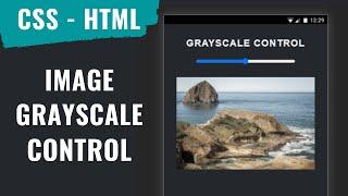 [ HTML | CSS ]  Image Grayscale Slider Control