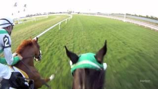 Jozbin Santana Jockey Cam: Ride the Race with EquiSight at Gulfstream Park in HD