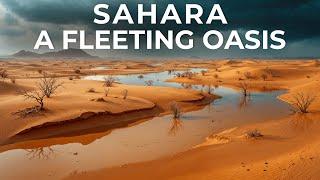 Sahara Desert Experiences First TIme Flooding In Decades - Scientists On Alert