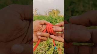 Overhand loop knot skills #shortsfeed #yoitubeshorts #knottyingtremding