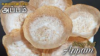 இலங்கையின் சுவையான பால் அப்பம் | Srilankan Tasty Pall Appam | Crispy Pall Appam Recipe in Tamil