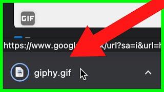 How to Download GIF from Google (NEW UPDATE in 2023)
